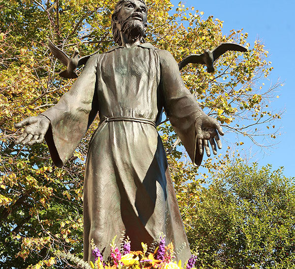 Saint Francis statue