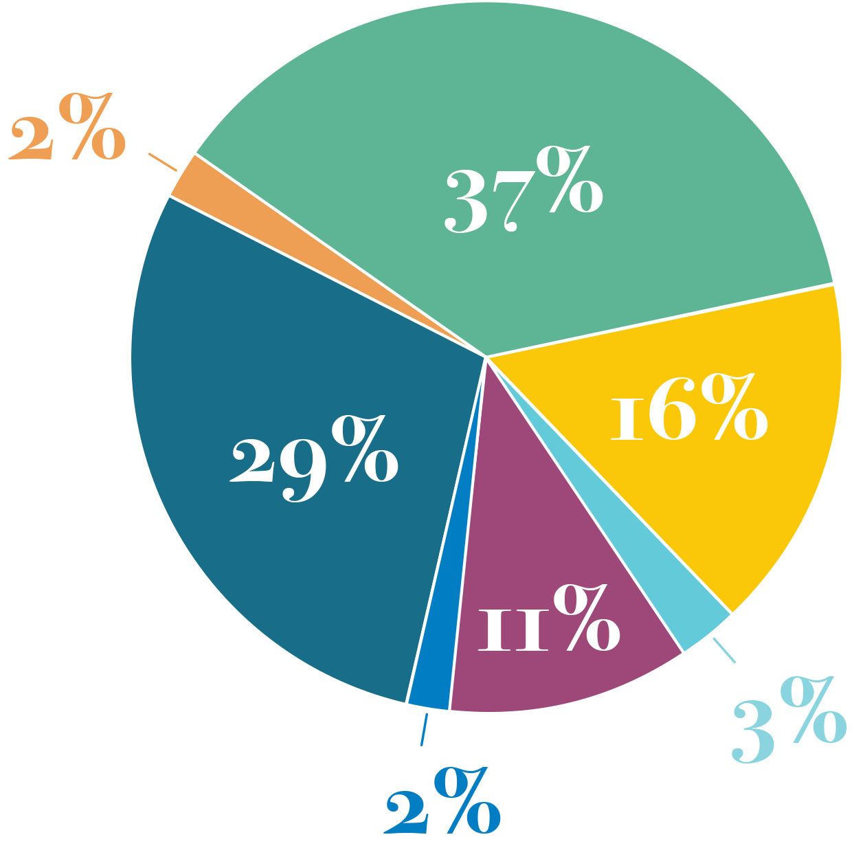 Pie Chart